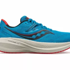Men's Saucony Triumph 20 - S20759-31